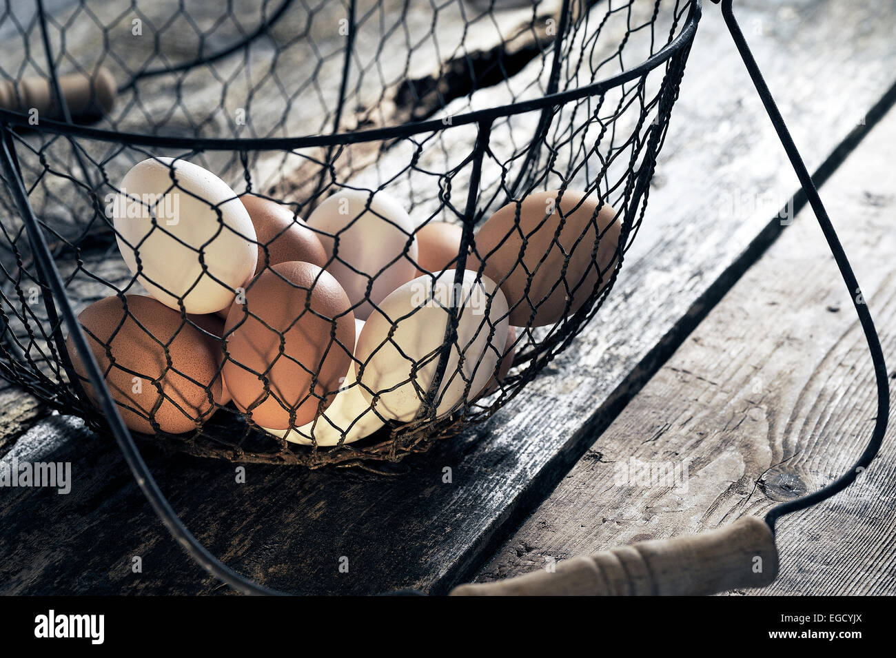 Des œufs frais dans un panier Banque D'Images