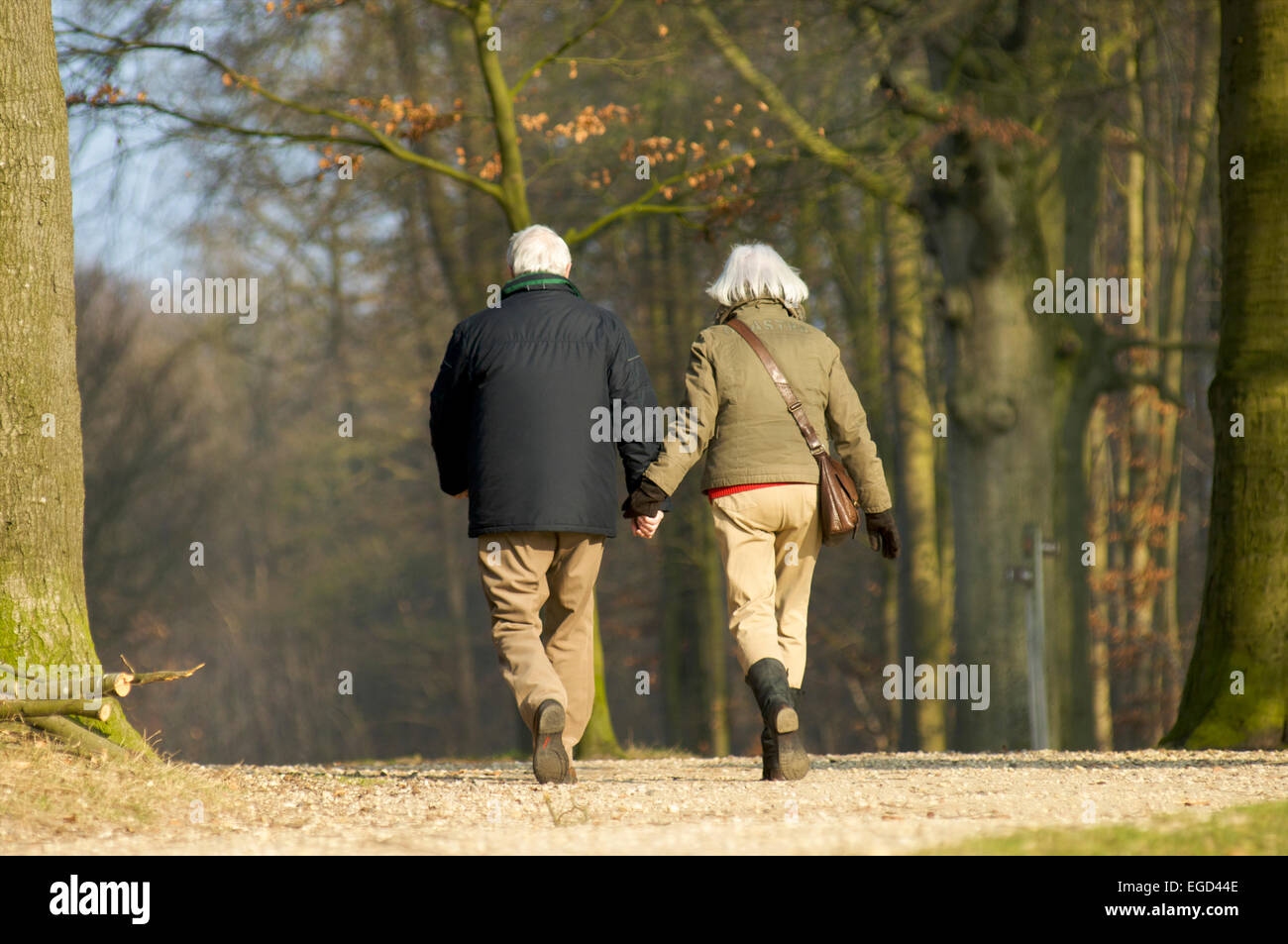 Personnes âgées en train de marcher dans une forêt ensemble et tenir la main Banque D'Images