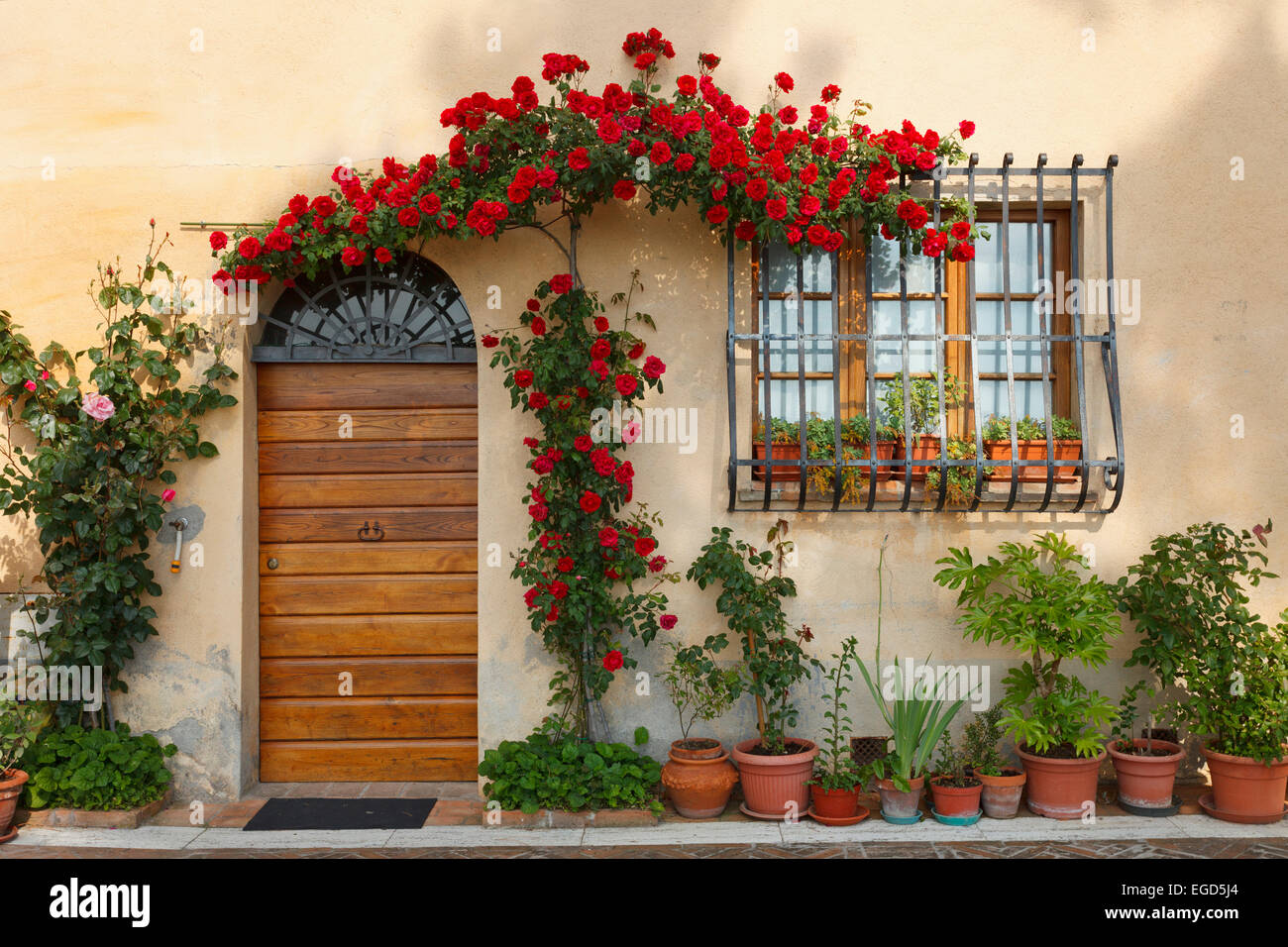 Porte avec roses, Montepulciano, province de Sienne, Toscane, Italie, Europe Banque D'Images