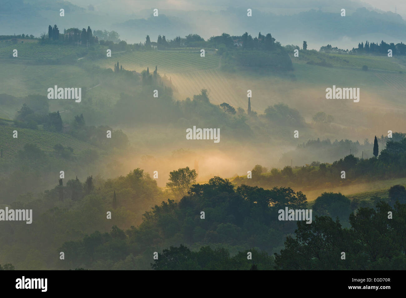 Le brouillard au lever du soleil, paysage près de San Gimignano, province de Sienne, Toscane, Italie, Europe Banque D'Images