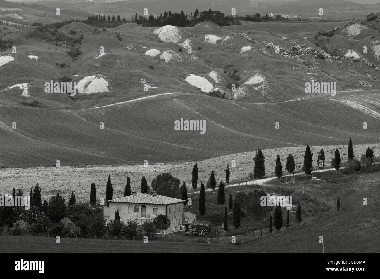 Crète, paysage avec clayhills, cottage, cyprès, Val dOrcia, Orcia, UNESCO World Heritage Site, paysage typique de la Toscane, près de taverne d'Arbia, province de Sienne, Toscane, Italie, Europe Banque D'Images