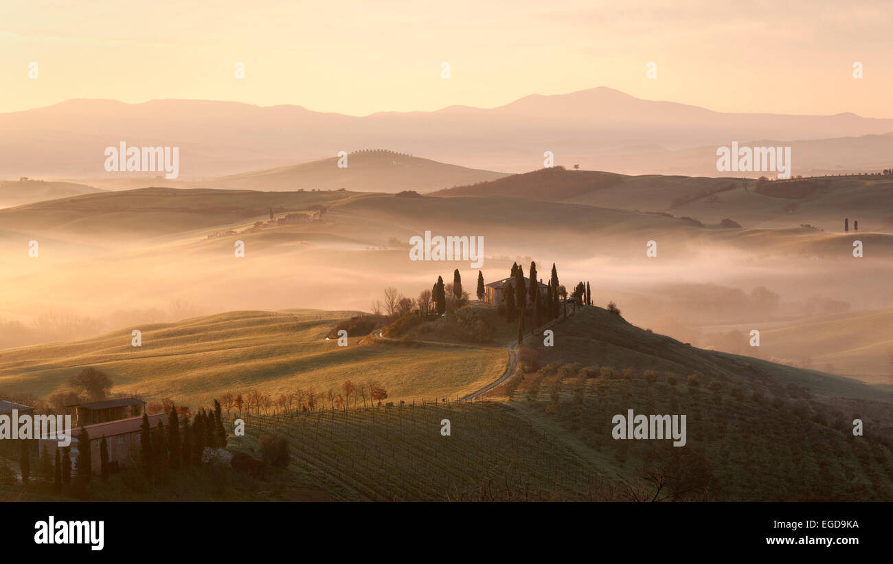 Lever du soleil sur la Val d'Orcia, près de Pienza sur un matin brumeux au printemps, Pienza, Toscane, Italie Banque D'Images