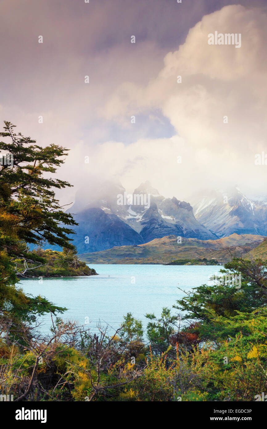 Le Chili, la Patagonie, le Parc National Torres del Paine (UNESCO Site), le lac de Peohe Banque D'Images