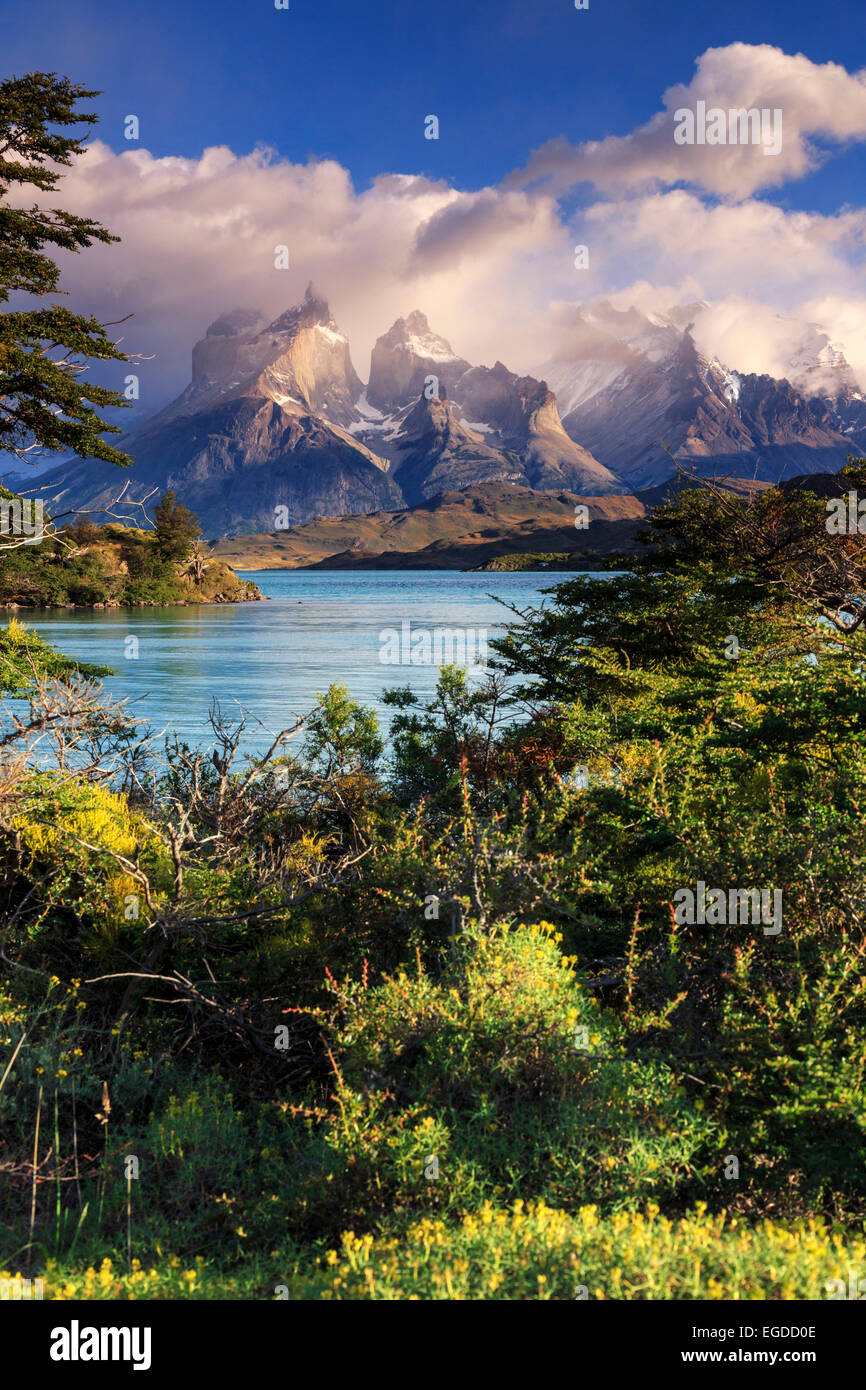 Le Chili, la Patagonie, le Parc National Torres del Paine (UNESCO Site), pics et Cuernos del Paine le Lac Pehoe Banque D'Images