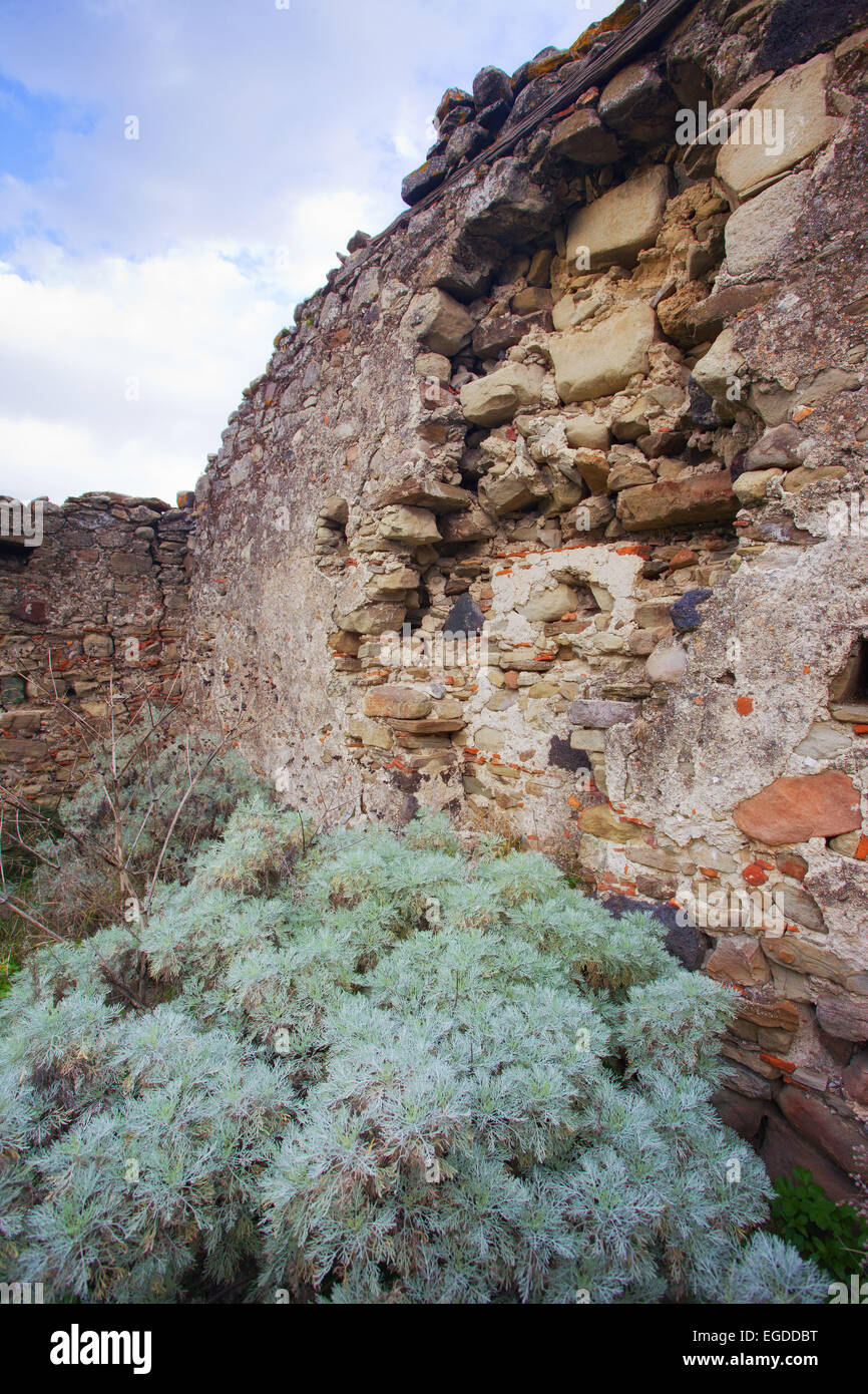 Ruines du monastère byzantin de Saint Sauveur de la Placa, S. Salvatore della Placa en Sicile, Francavilla Banque D'Images