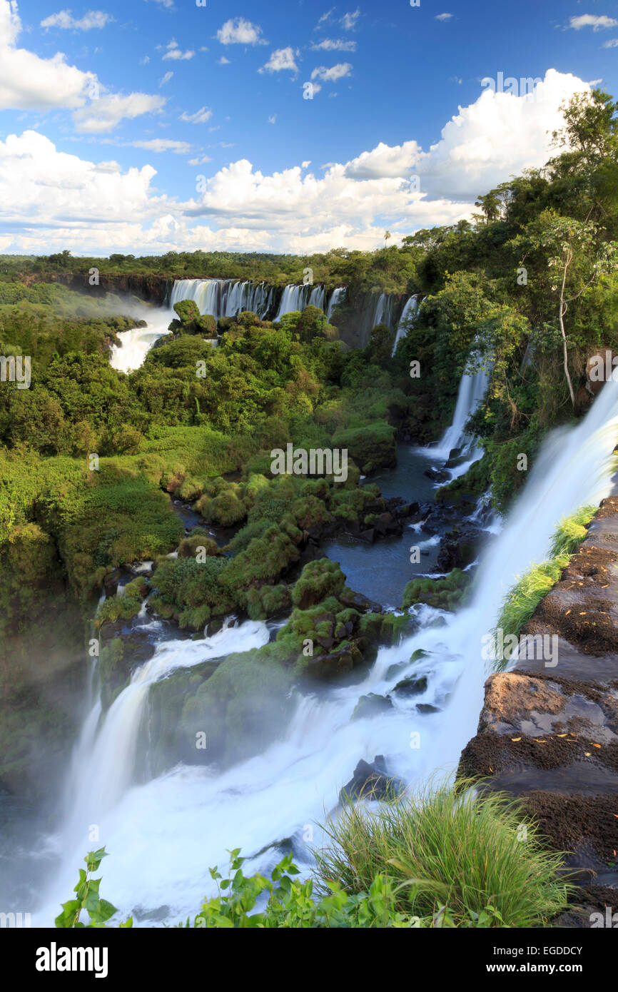 L'Argentine, Iguazu Falls National Park, (UNESCO Site) Banque D'Images