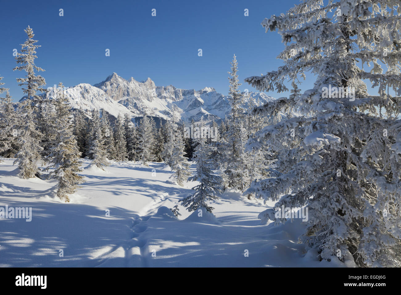 Vue du Hoher Dachstein à Rossbrand, Filzmoos, Autriche, Pays de Salzbourg Banque D'Images