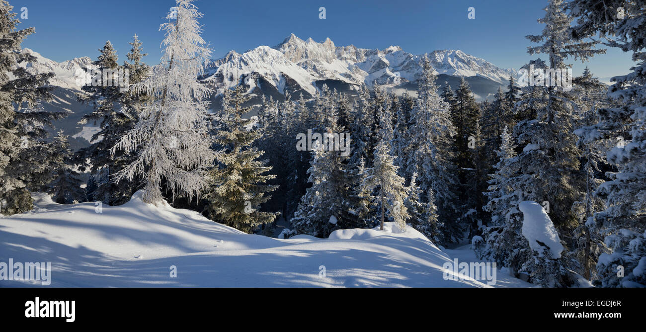 Vue du Hoher Dachstein à Rossbrand, Filzmoos, Autriche, Pays de Salzbourg Banque D'Images