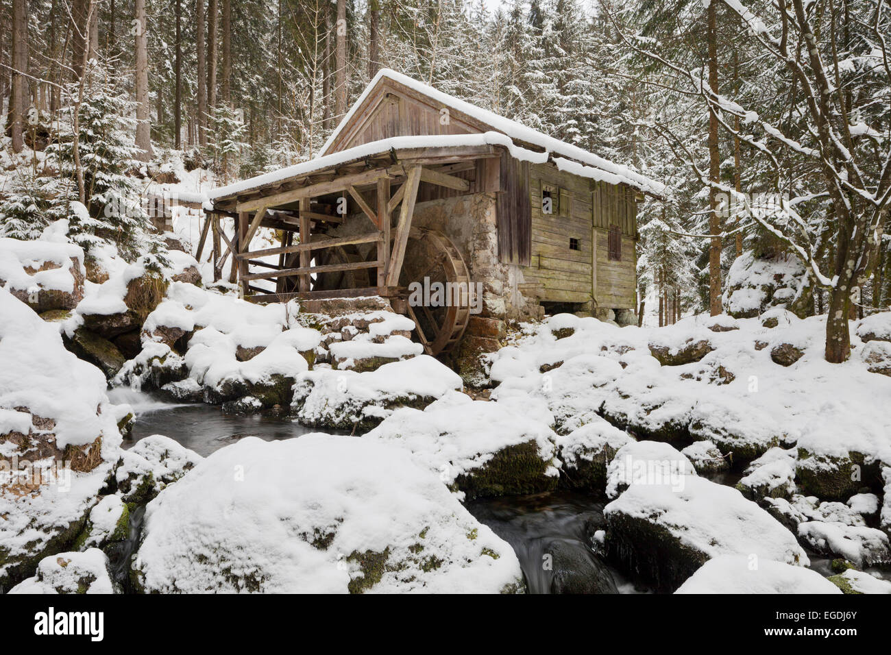 Ancien moulin à eau dans un paysage d'hiver, Gosau, Salzburg, Autriche Land Banque D'Images