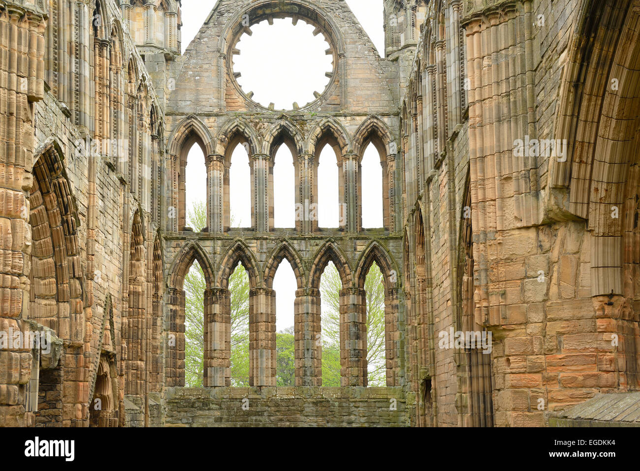 Ruines de la cathédrale d'Elgin, Cathédrale d'Elgin, Elgin, Moray, Côte Est, l'Ecosse, Grande-Bretagne, Royaume-Uni Banque D'Images