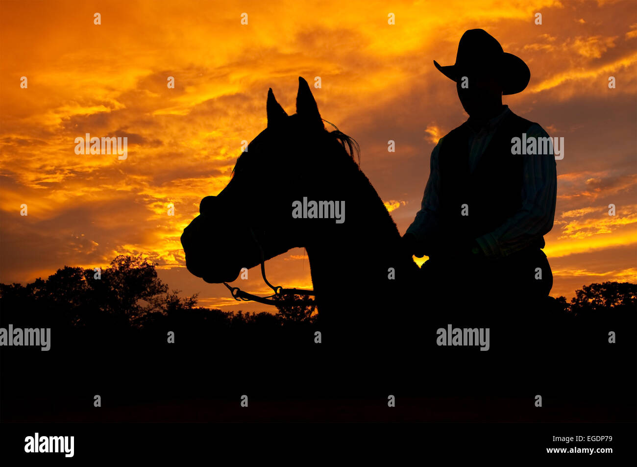 Silhouette d'un cheval et un cavalier contre soirée dramatique nuages de tempête Banque D'Images