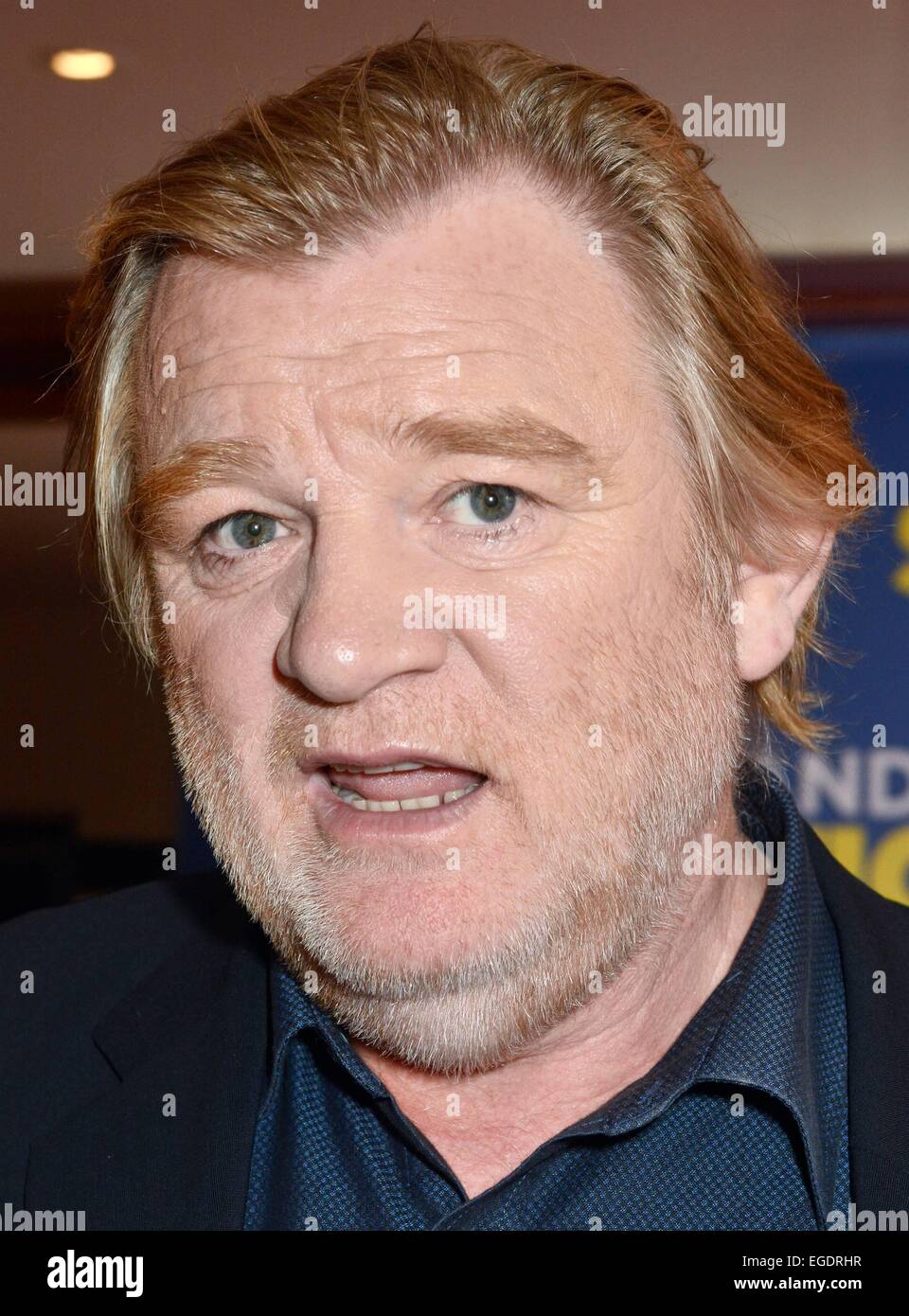 Irlandais Brendan Gleeson assiste à la première de son film La Grande séduction au Lighthouse Cinema, Dublin, Irlande - 21.08.14. Avec : Brendan Gleeson Où : Dublin, Irlande Quand : 21 août 2014 Banque D'Images