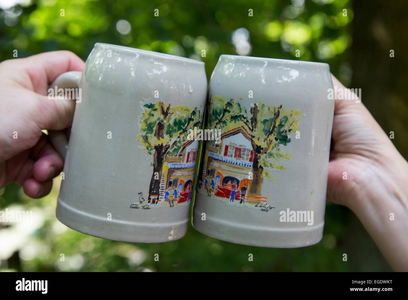 Deux verres d'être clinked ensemble à Entla's Keller beer garden, Erlangen, Franconia, Bavaria, Germany Banque D'Images