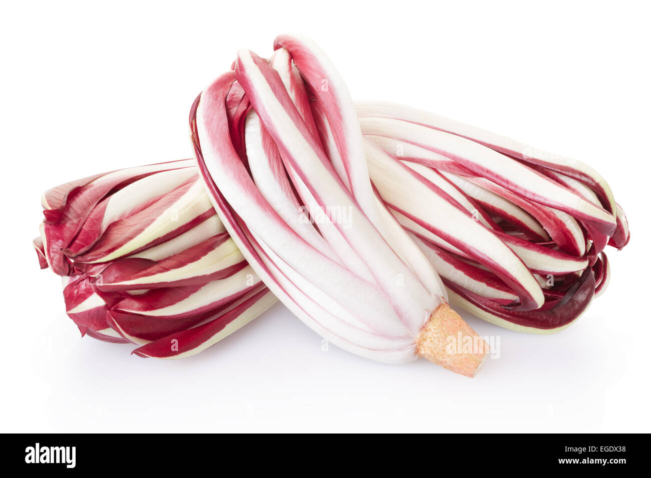 Radicchio, chicorée rouge group Banque D'Images