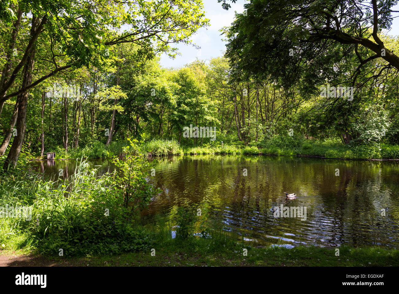 Jardins du Spa, Spiekeroog Island, Parc National, Mer du Nord, îles de la Frise orientale, Frise orientale, Basse-Saxe, Allemagne, Europe Banque D'Images