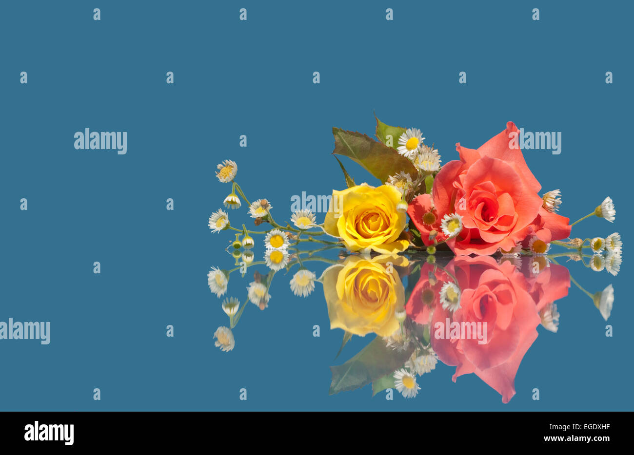 Rose, rose et jaune, blanc avec des fleurs sauvages sur fond bleu avec la réflexion Banque D'Images