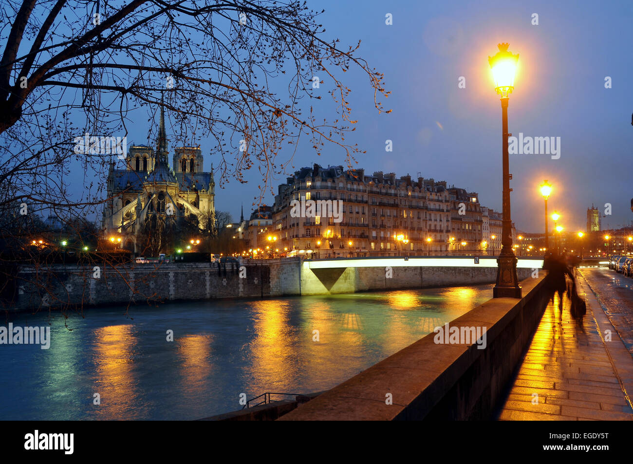 L'Ile de la Cité de nuit avec Notre Dame, Paris, France Banque D'Images