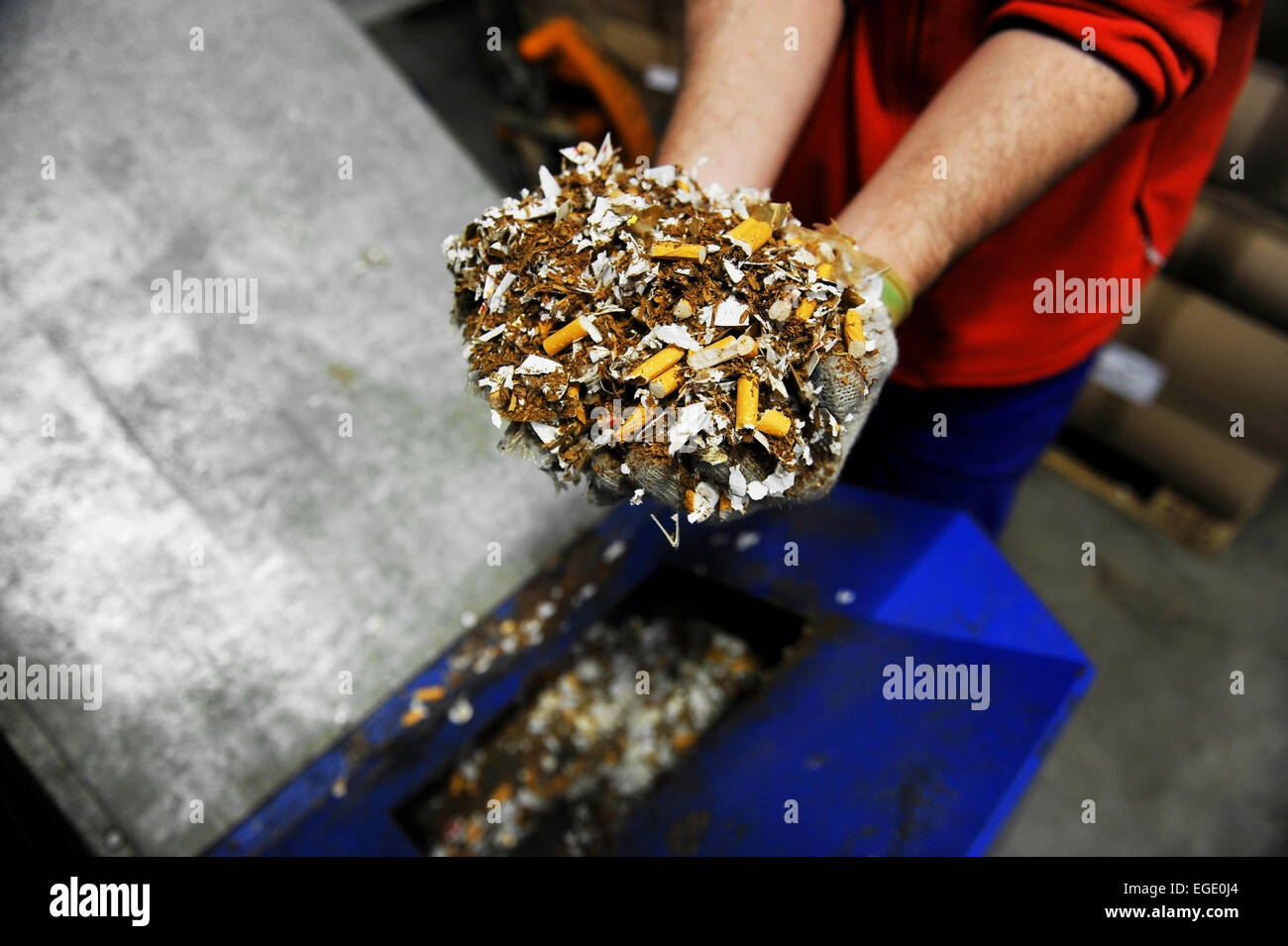 Mains d'un homme tenant un tas de fausses cigarettes détruit Banque D'Images