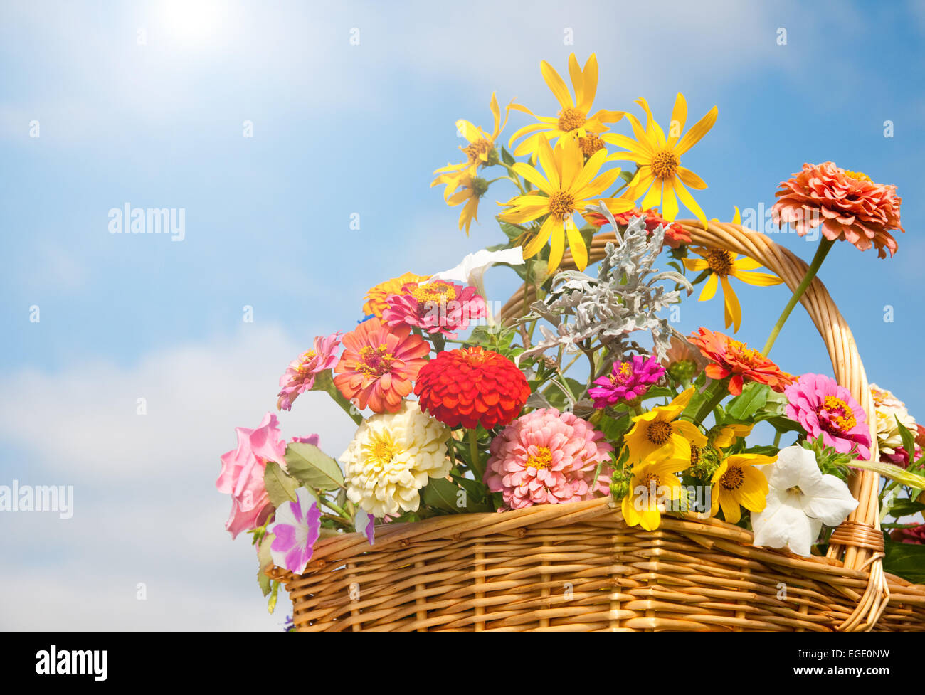 Fleurs dans un panier en osier Banque de photographies et d’images à ...