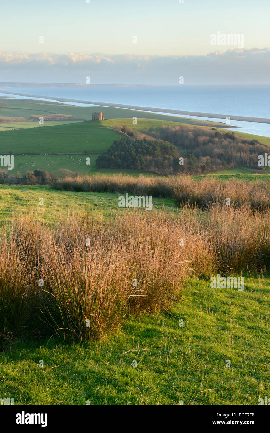 Vue vers l'école St Catherine chapelle qui se trouve sur une colline surplombant le littoral du Dorset et Abbotsbury. Banque D'Images