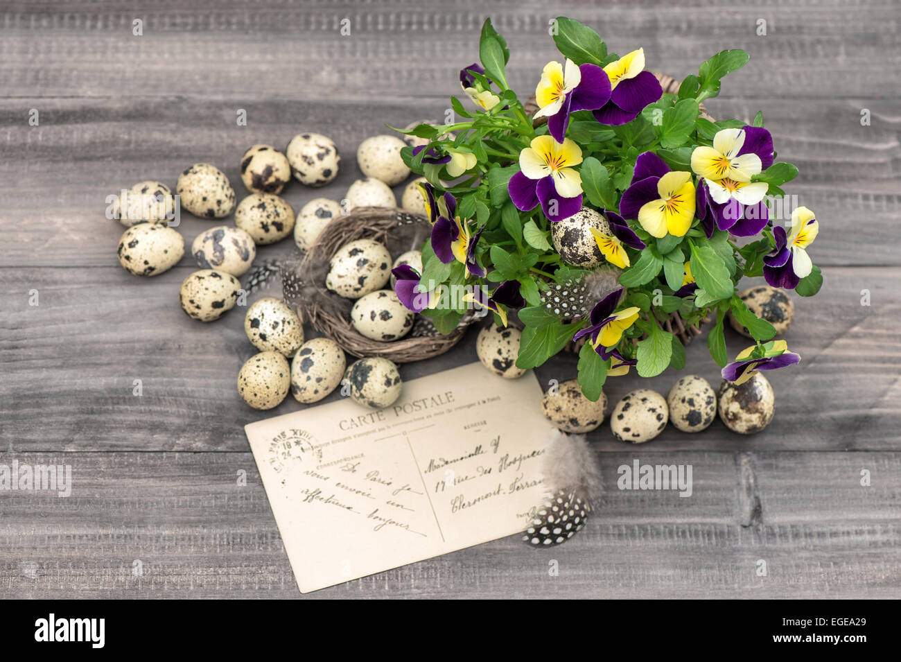 Fleur, oeufs de caille et carte de vœux. Décoration de Pâques Banque D'Images