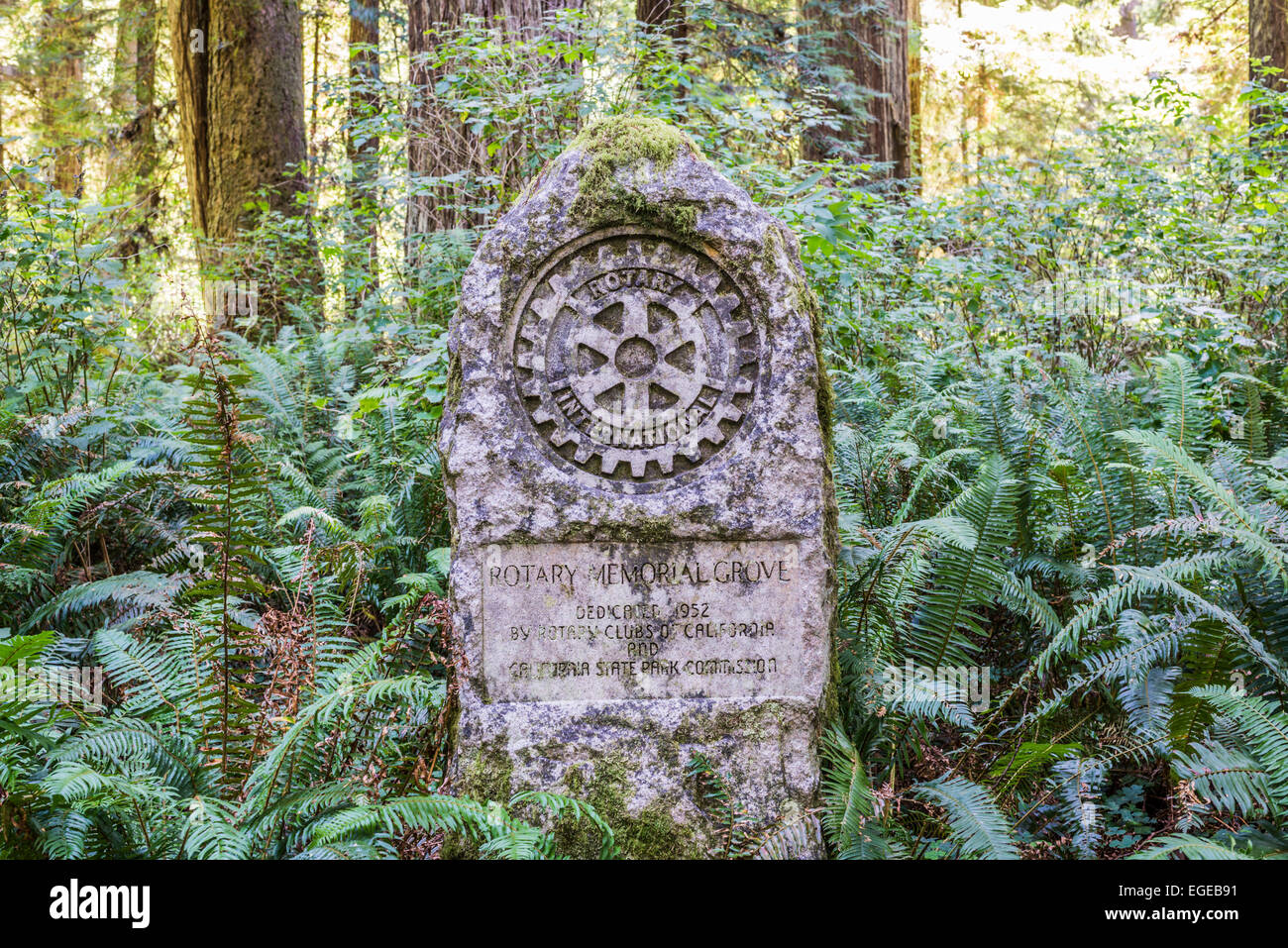 Marqueur rotatif Grove Memorial. Prairie Creek Redwoods State Park, California, United States. Banque D'Images