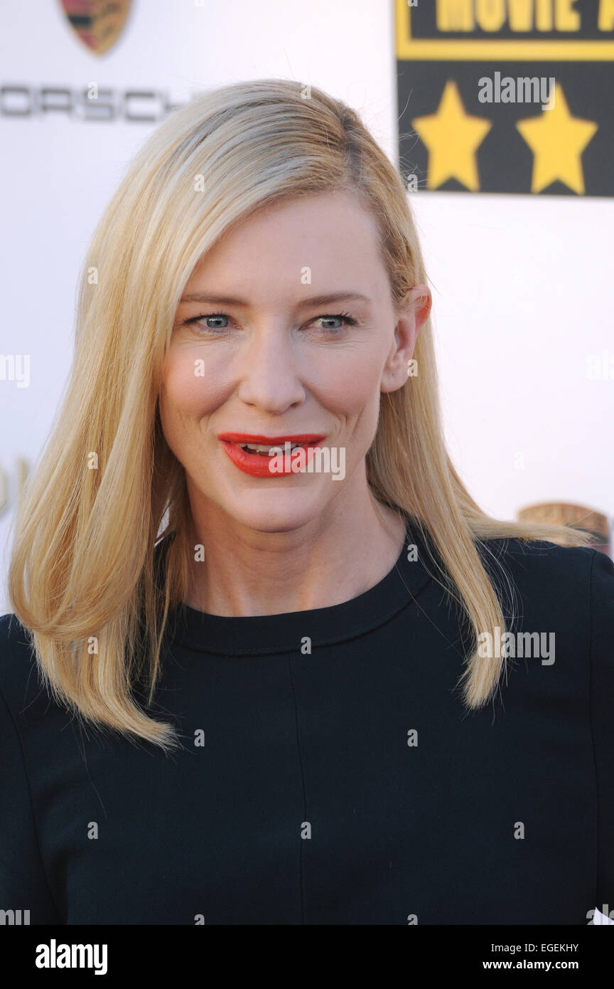 LOS ANGELES, CA - le 16 janvier 2014 : Cate Blanchett au 19e Congrès annuel Critics' Choice Awards au Barker Hangar, Santa Monica Airport. Banque D'Images