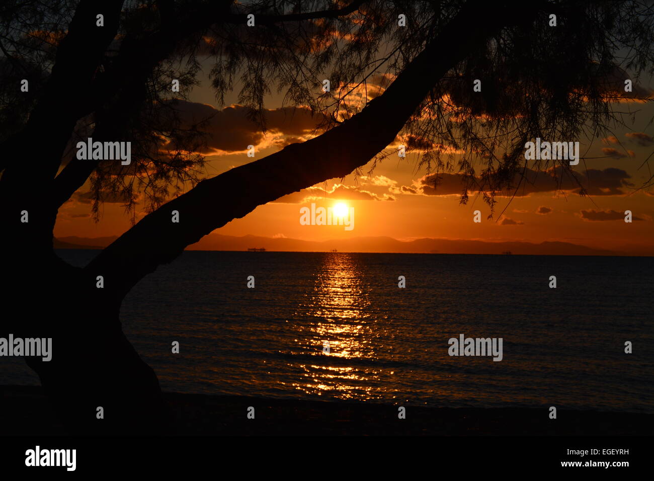 Magnifique coucher de soleil à la plage avec bel arbre Banque D'Images