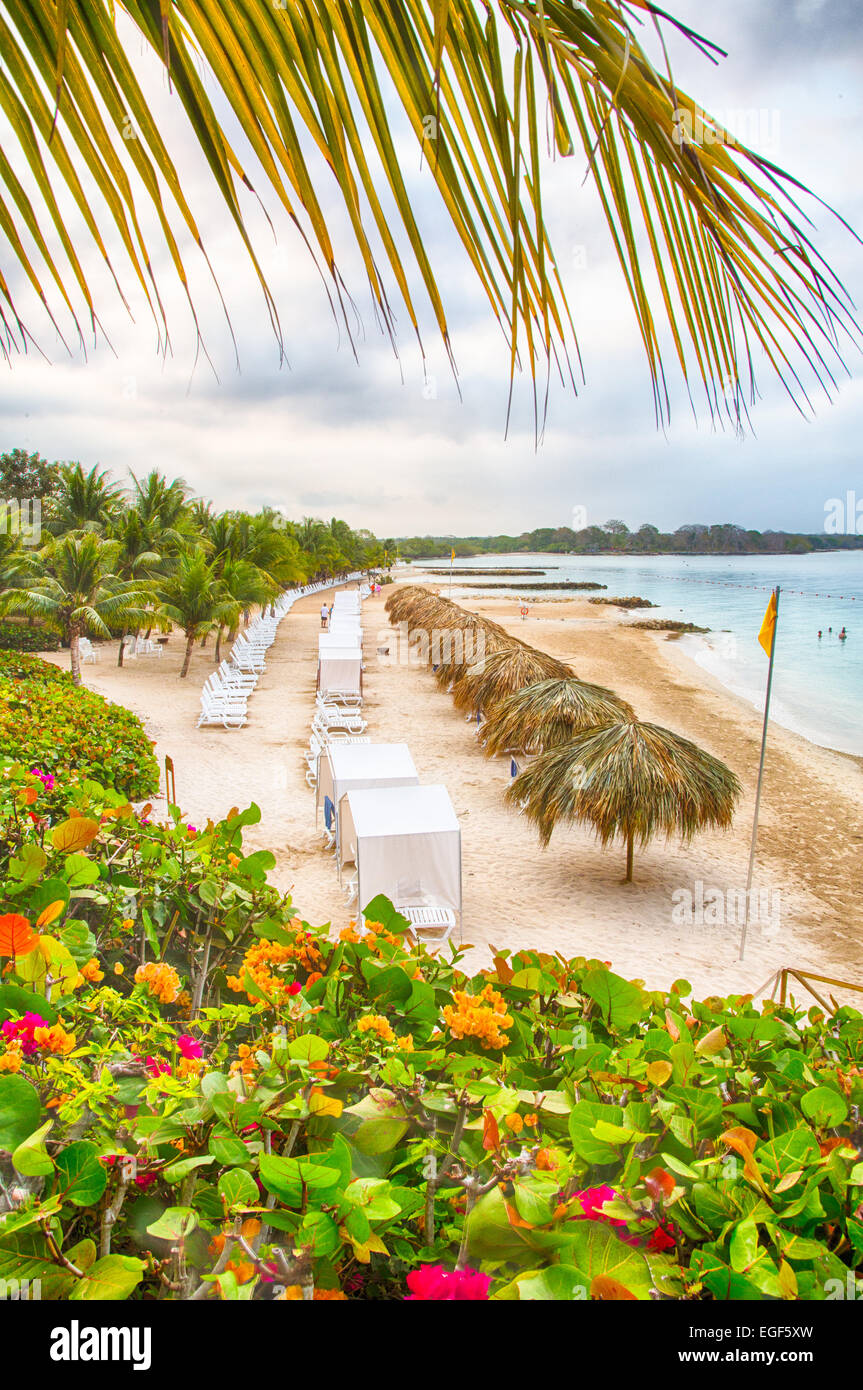 Chaises de salon sous le chaume umbellas sur le sable blanc d'un complexe en front de mer des Caraïbes. Banque D'Images