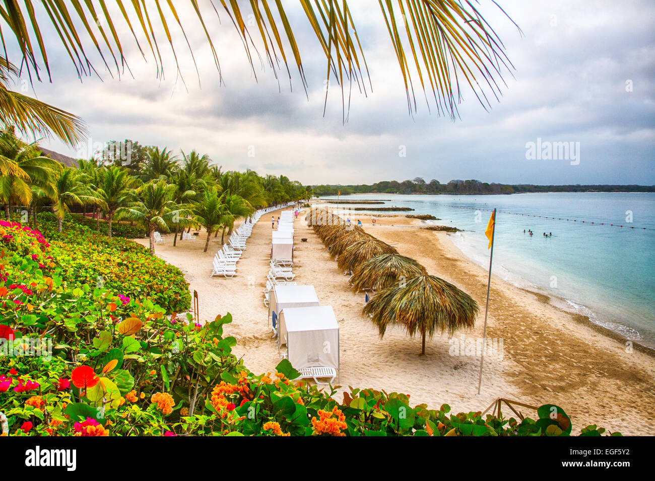 Chaises de salon sous le chaume umbellas sur le sable blanc d'un complexe en front de mer des Caraïbes. Banque D'Images