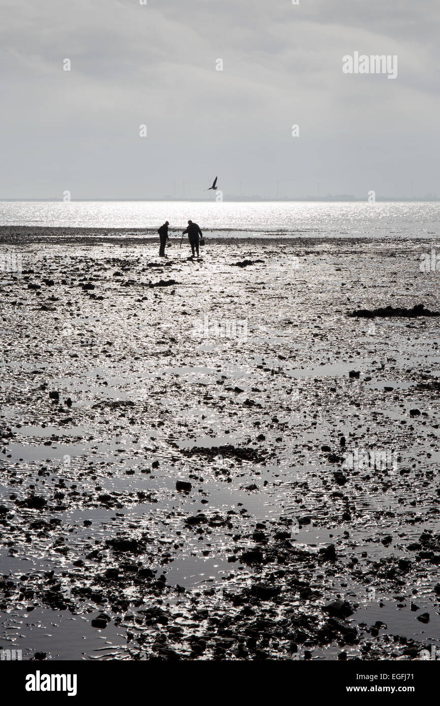 Les ramasseurs d'huîtres sur la plage à l'île de Mersea, Essex, Angleterre Banque D'Images