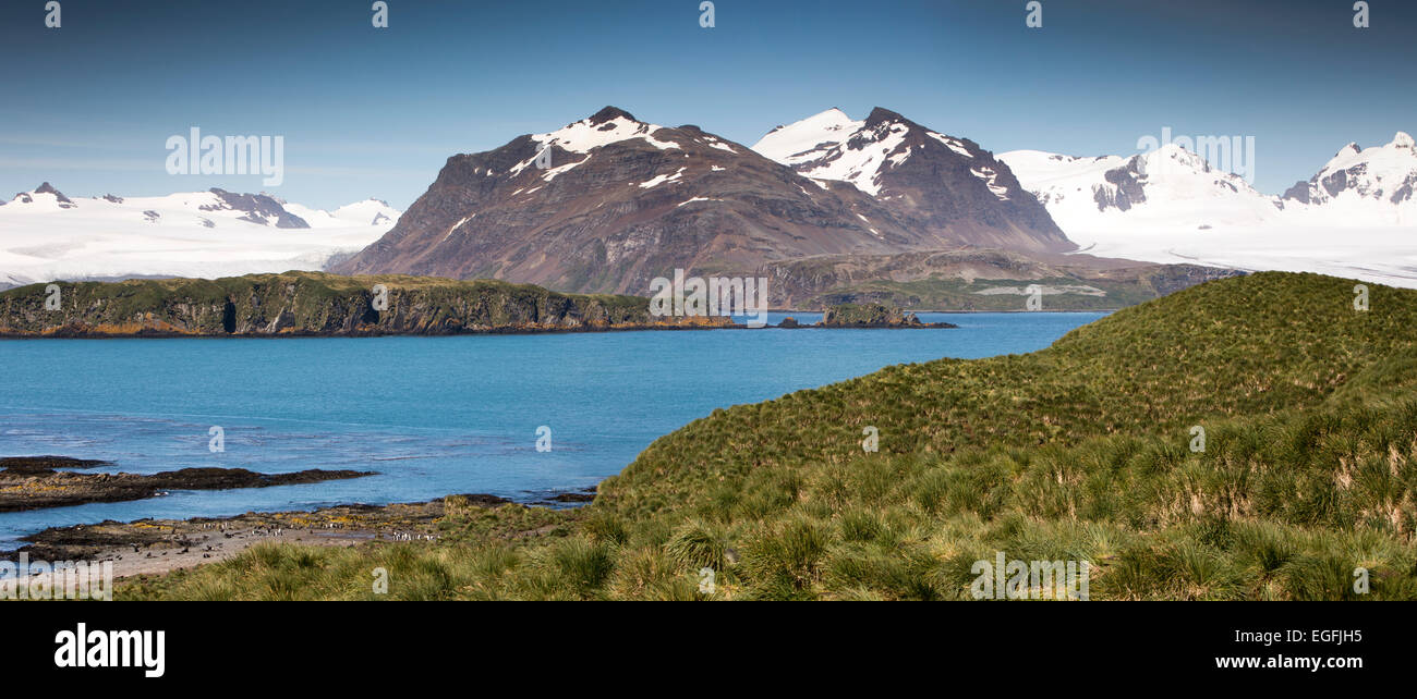 L'Atlantique Sud, la Géorgie du Sud, les montagnes autour de Bay of Isles de Île Prion, vue panoramique Banque D'Images