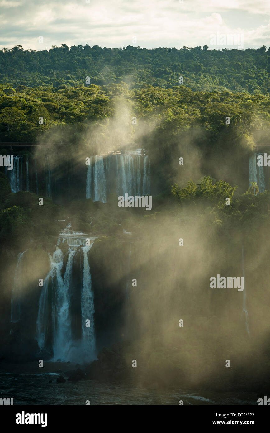 Avis de 'The Grand Fourwings Convention Das Cataratas', Foz do Iguaçu, Parque Nacional do Iguaçu, Brésil, Amérique du Sud Banque D'Images