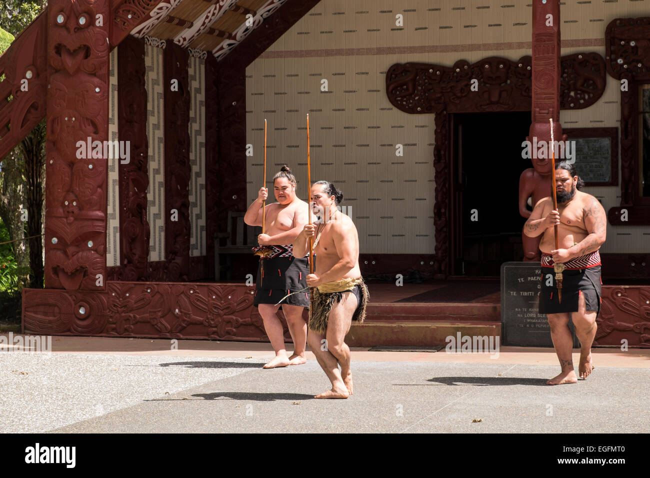 Te Pitowhenua groupe d'interprètes une loi bienvenue traditionnel maori pour les touristes et les visiteurs à l'du Traité de Waitangi, Nort Banque D'Images Te Pitowhenua groupe d'interprètes une loi bienvenue traditionnel maori pour les touristes et les visiteurs à l'du Traité de Waitangi, Nort Banque D'Images