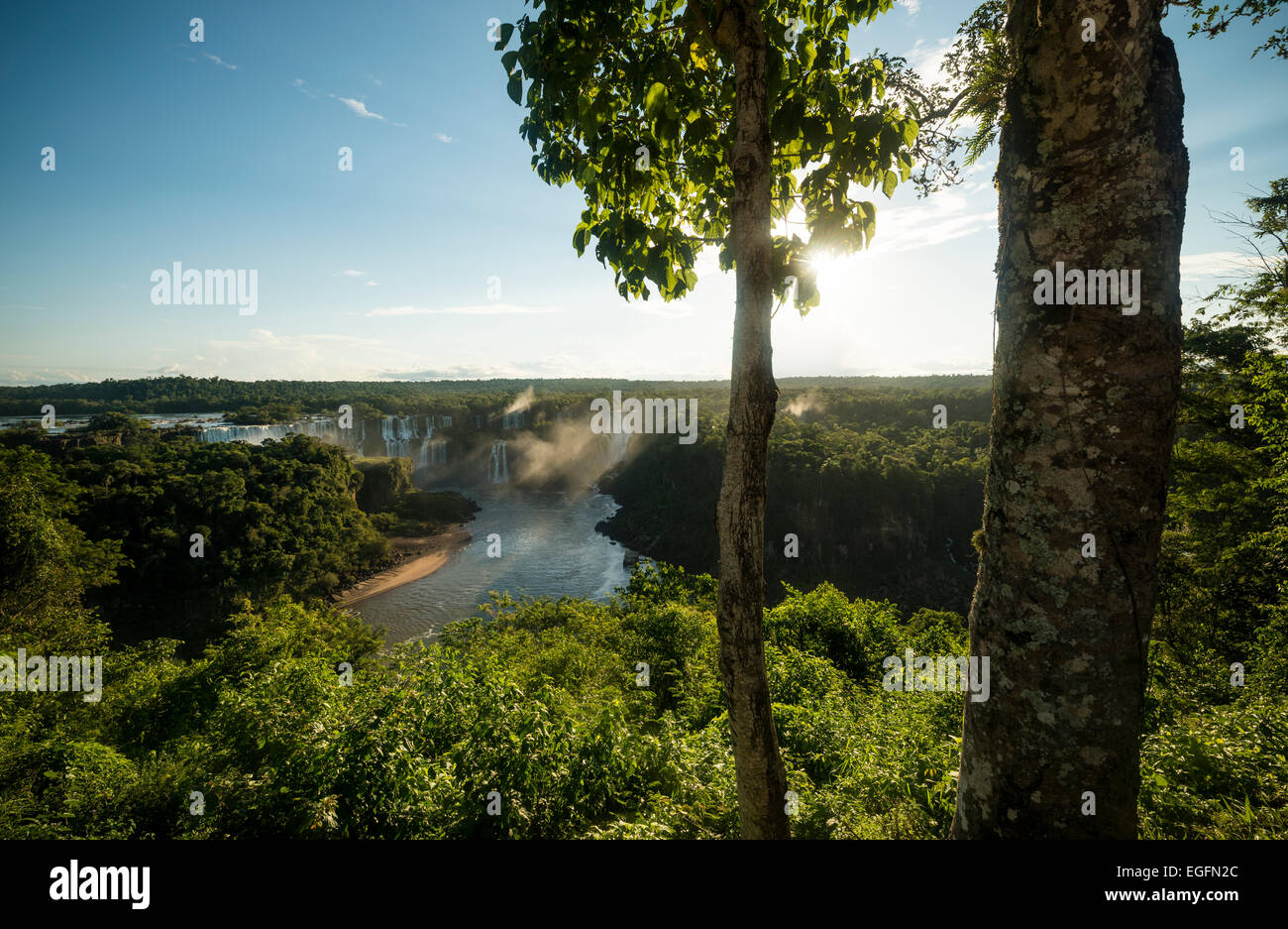 Avis de 'The Grand Fourwings Convention Das Cataratas', Foz do Iguaçu, Parque Nacional do Iguaçu, Brésil, Amérique du Sud Banque D'Images