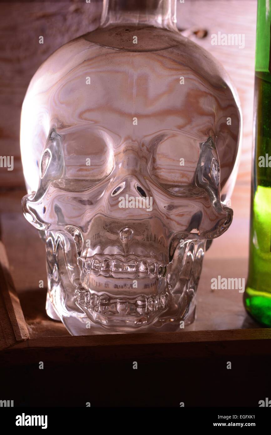 Crâne de Cristal lumière arrière et porter ce grain de bois tous ensemble , l'art du verre, de l'alcool, du grain du bois, Halloween Banque D'Images