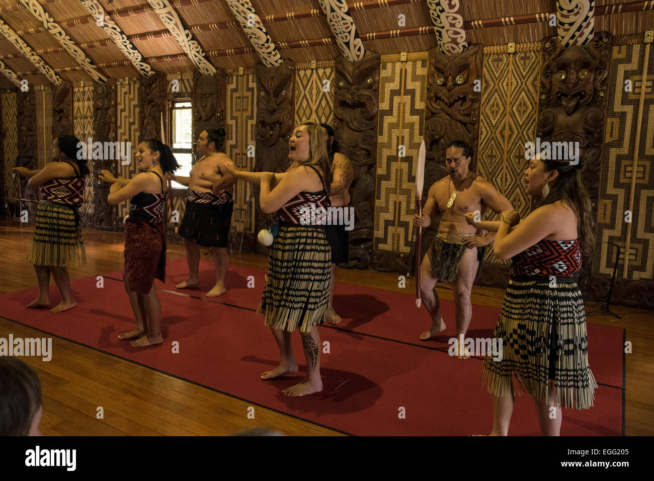 Te Pitowhenua groupe d'interprètes d'une loi sur la chaussure traditionnel maori de la chanson et de la danse pour les touristes et visiteurs à la traiter de Waitangi Banque D'Images