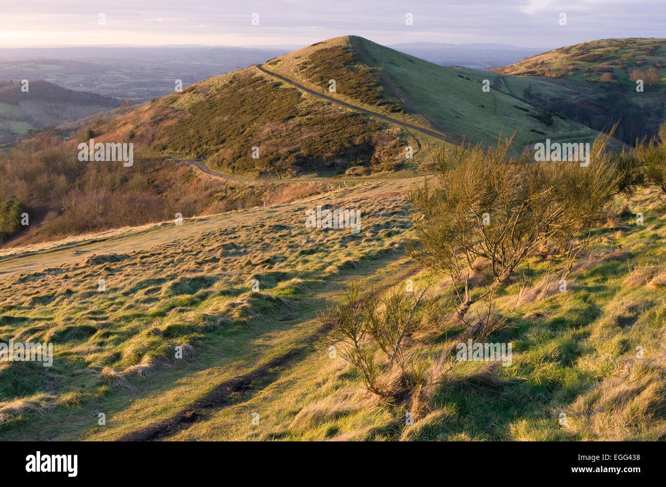 Hill & Hill Sugarloaf Table, collines de Malvern, Worcestershire, Angleterre, RU dans la lumière du soleil d'or en hiver Banque D'Images