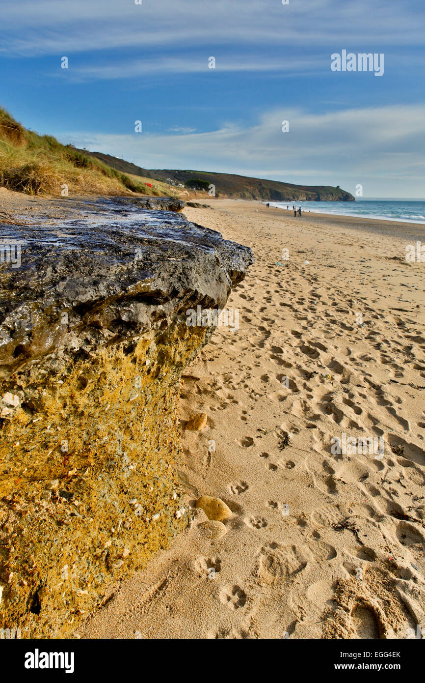 Praa Sands ; Forêt fossile ; Cornwall UK Banque D'Images