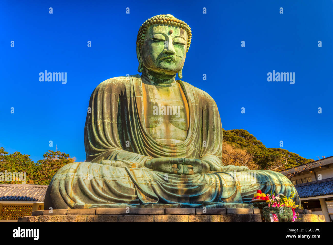 Le grand Bouddha du Temple Kotokuin à Kamakura, au Japon. Banque D'Images