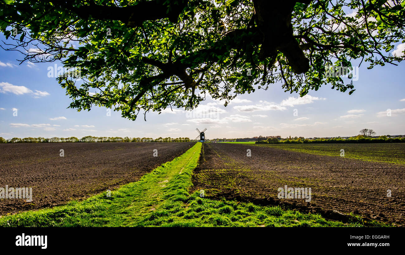 B-7540 Windmil,Ivinghoe, Bedfordshire, Angleterre Banque D'Images