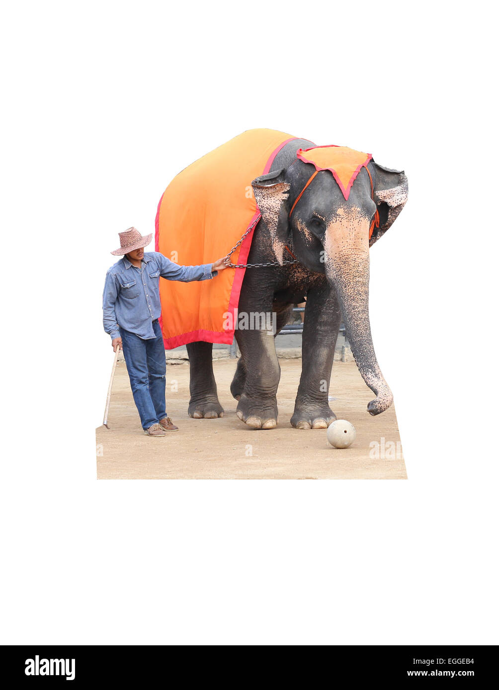 Elephant et mahout jouer la balle Banque D'Images