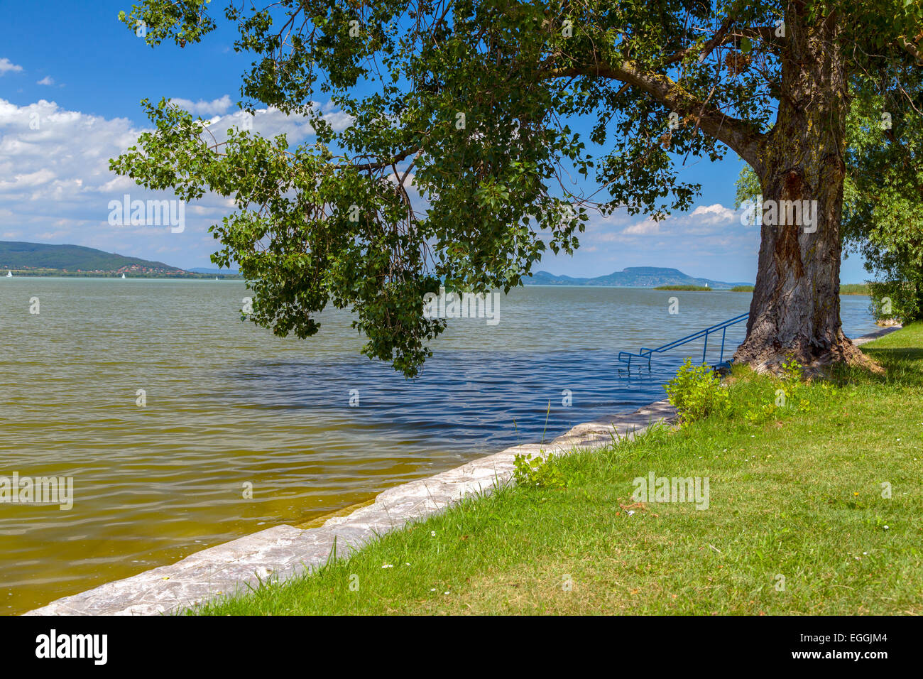 Lac Balaton en Hongrie en été Banque D'Images