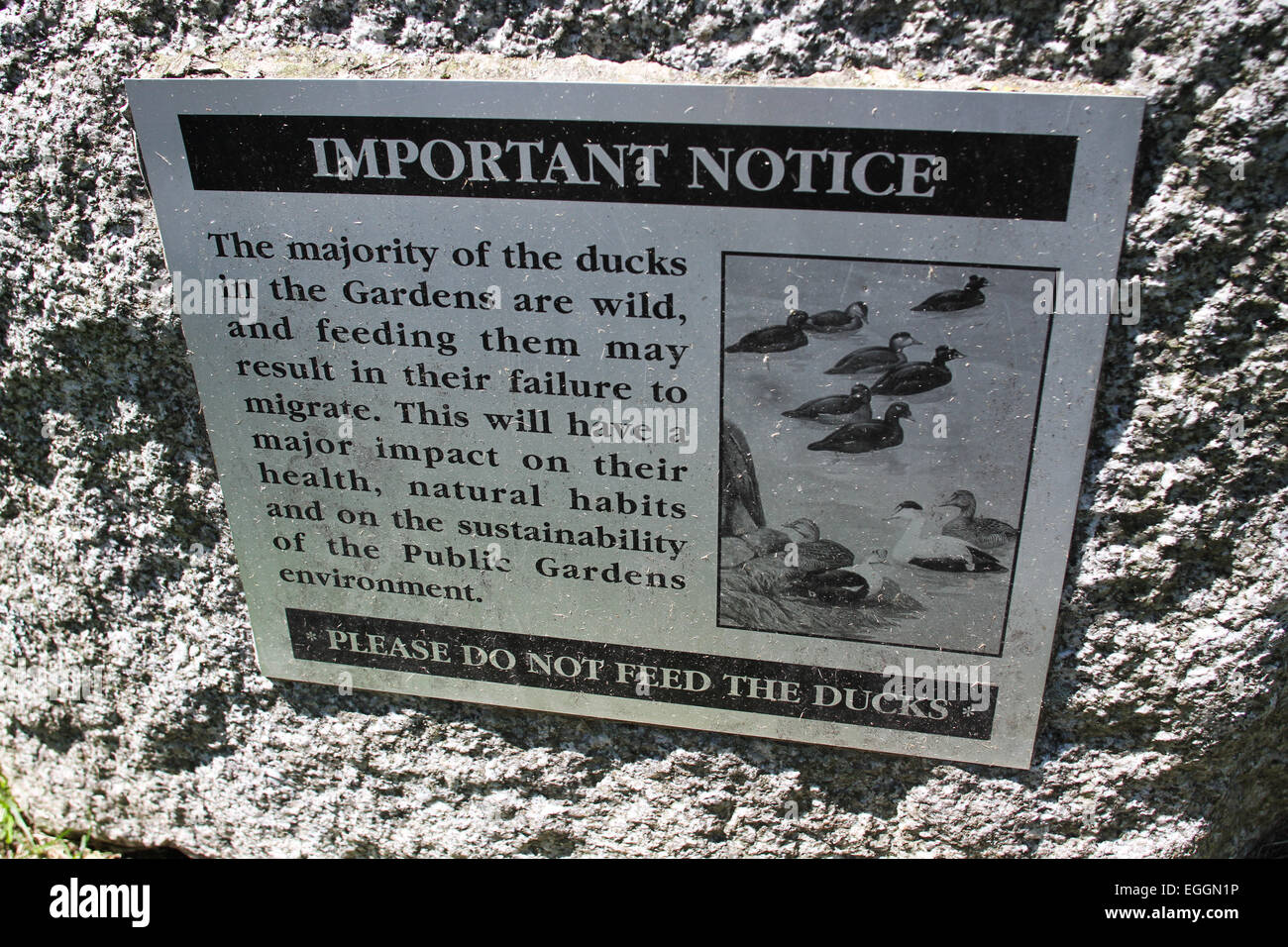 Un avis de ne pas nourrir les canards dans les jardins publics. Halifax, N.-É., le 11 juin 2012. Banque D'Images