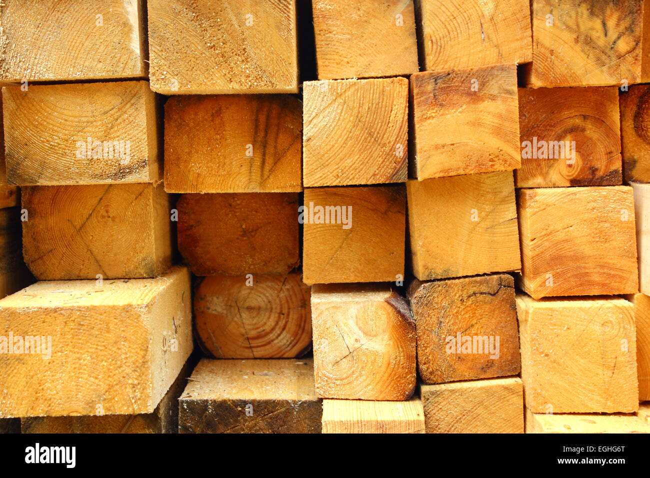 Modèle d'un tas de bois abattus Banque D'Images