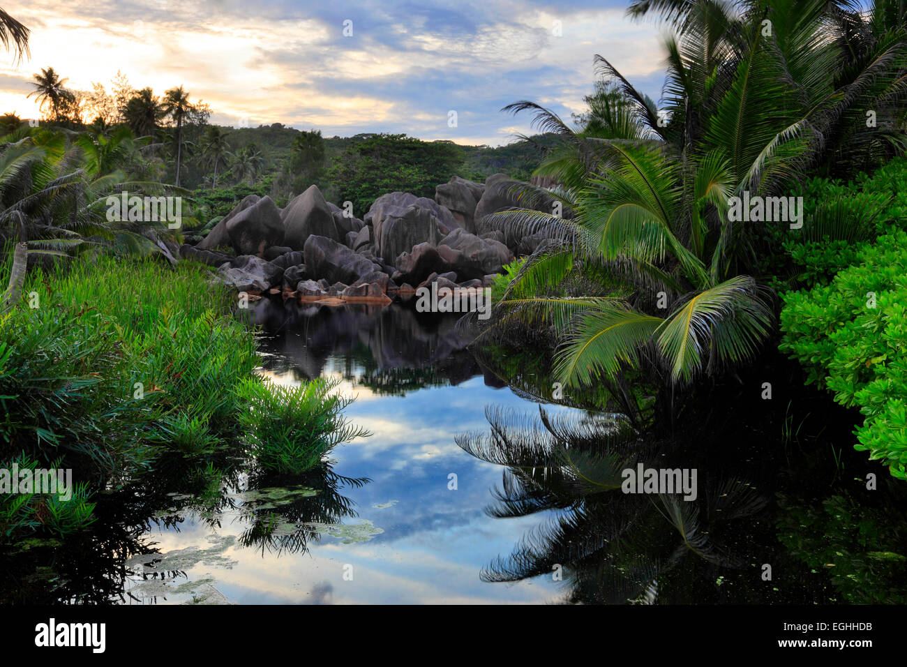 Le marais au coucher du soleil, les Seychelles La Digue. Banque D'Images