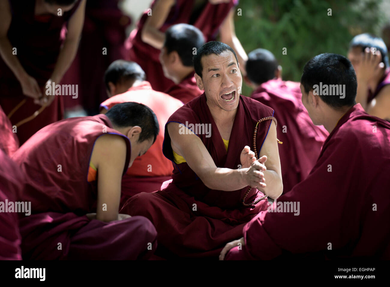 Un moine s'engager dans un débat animé, Monastère de Séra, Lhassa, Tibet Banque D'Images