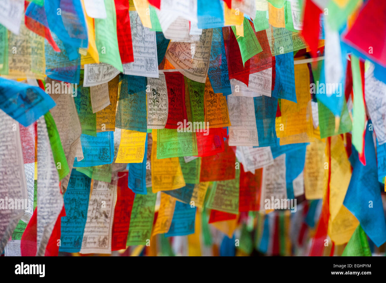 Les drapeaux de prières, le Shangri-La, Yunnan, Chine Banque D'Images Les drapeaux de prières, le Shangri-La, Yunnan, Chine Banque D'Images