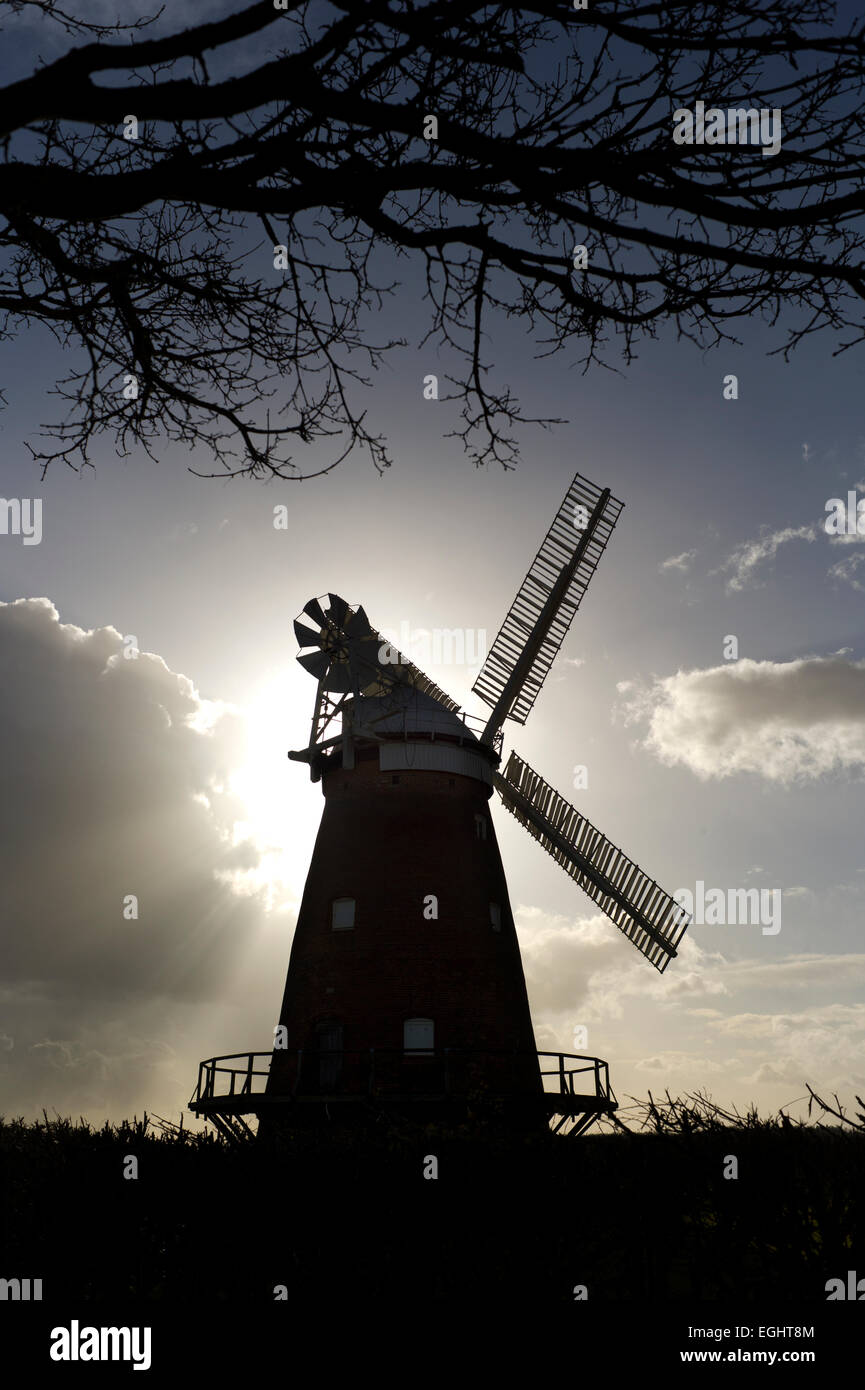 Thaxted John Webb, le moulin de Thaxted, Essex, Angleterre. Mar 2015 Banque D'Images