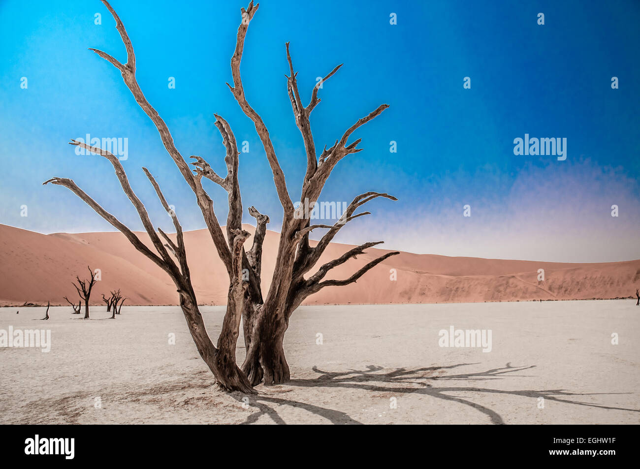 Paysage surréaliste dans le désert du Namib au lever du soleil Banque D'Images
